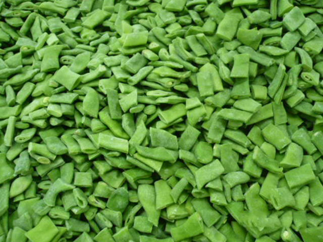 罗马豆
