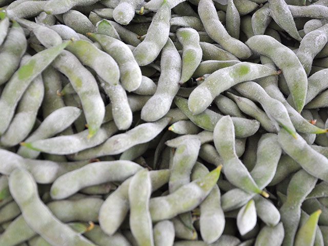 毛豆荚