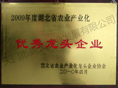 年度优秀龙头企业(2009)