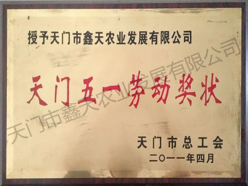 天门五一劳动奖状(2011)