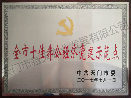 全市十佳非公经济党建示范点(2017)