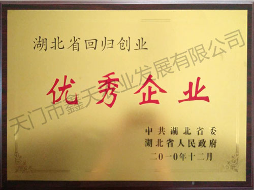 优秀企业(2010)