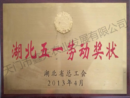 湖北五一劳动奖状(2013)