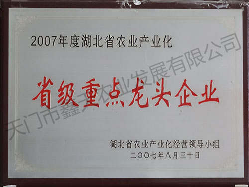 省级重点龙头企业(2007)