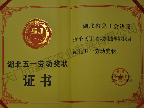 湖北五一劳动奖状证书(2013)