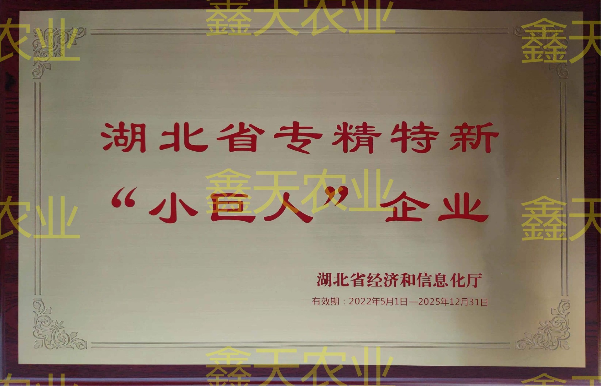 省级专精特新小巨人2022.5-2025.5.jpg